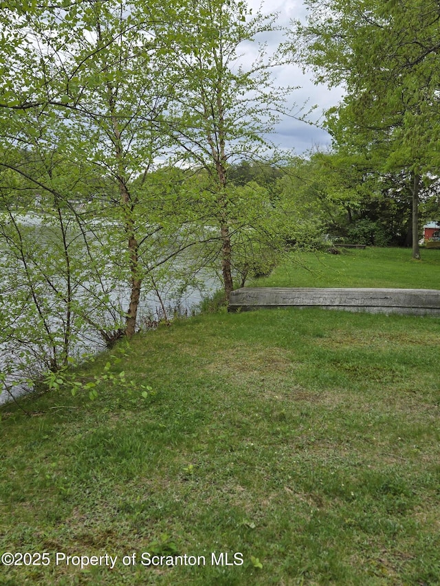 view of green lawn