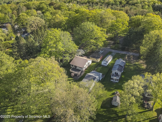 aerial view of a forest