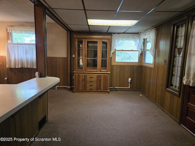 unfurnished dining area featuring wooden walls, healthy amount of natural light, carpet, and a paneled ceiling