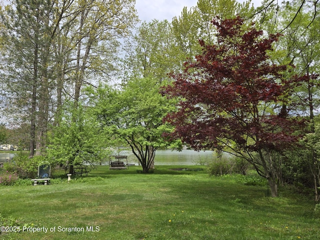 view of green lawn featuring a water view