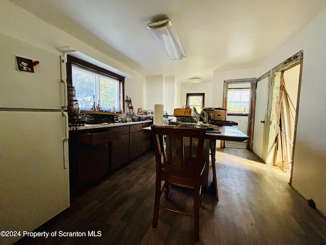 dining room with dark wood-type flooring