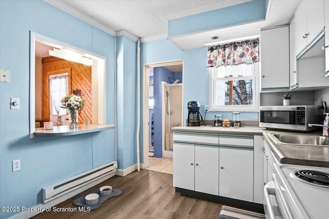 kitchen featuring stainless steel microwave, crown molding, a baseboard heating unit, dark wood-type flooring, and a sink