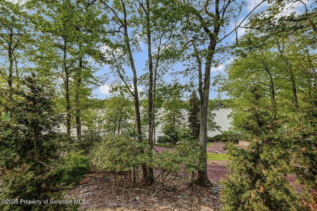 197 S Lake Dr, Lake Harmony, PA 18624 - photo 8