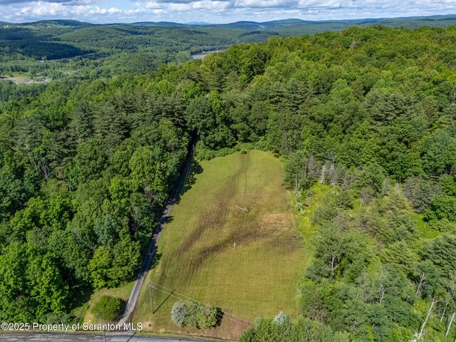 11 Old Trail Rd, Tunkhannock, PA 18657 - photo 77