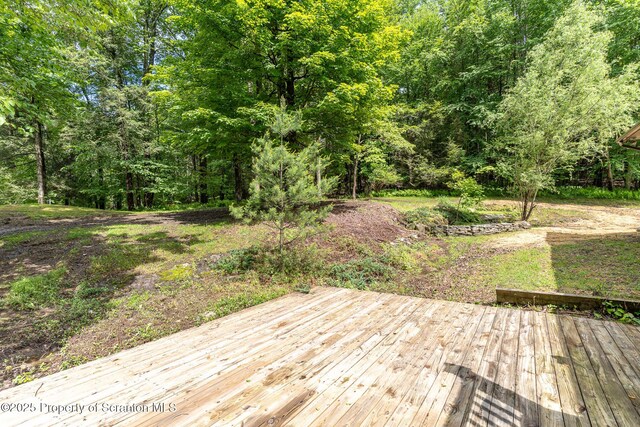 11 Old Trail Rd, Tunkhannock, PA 18657 - photo 49