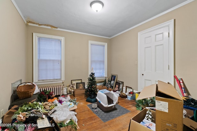 bedroom featuring radiator, wood finished floors, and ornamental molding