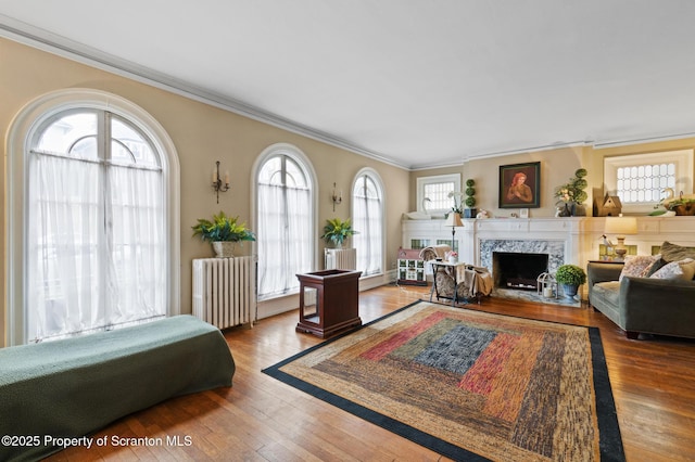 living area featuring ornamental molding, radiator, wood finished floors, and a premium fireplace