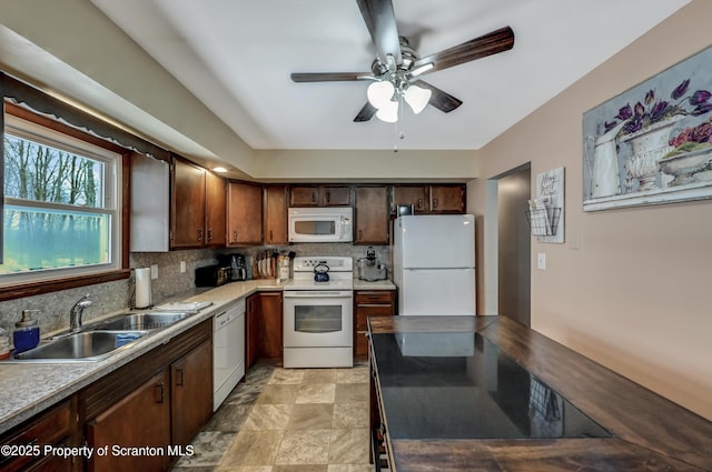 kitchen with tasteful backsplash, sink, ceiling fan, dark brown cabinetry, and white appliances