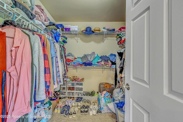 1612 Whitetail Run, Moscow, PA 18444 - view of walk in closet