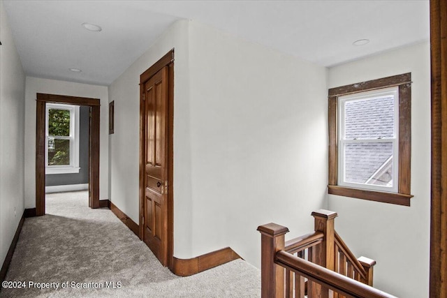 hallway featuring carpet flooring