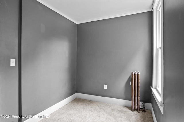 spare room featuring light carpet and ornamental molding