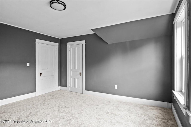 bonus room featuring carpet and a healthy amount of sunlight