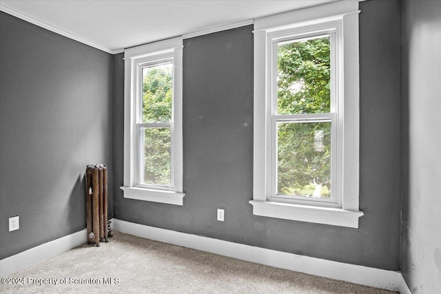 spare room with a wealth of natural light, radiator heating unit, and light carpet