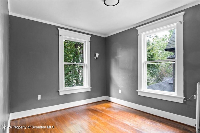 empty room featuring a wealth of natural light, wood-type flooring, and ornamental molding