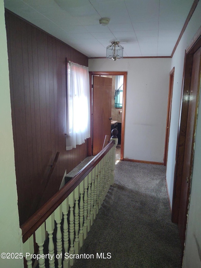 stairway with baseboards, carpet floors, and wooden walls