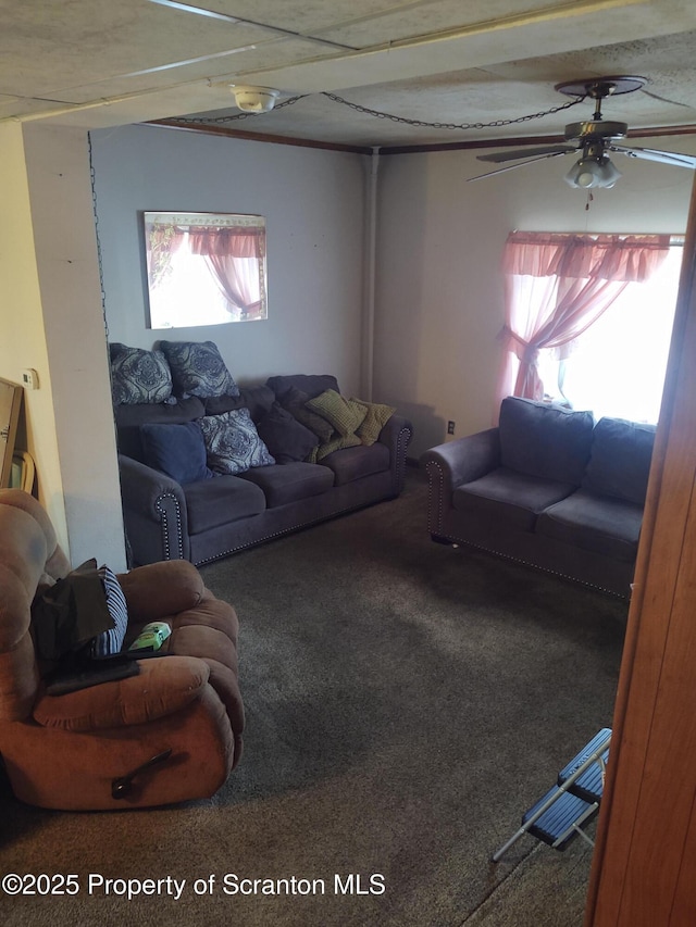 living area with carpet, plenty of natural light, and a ceiling fan