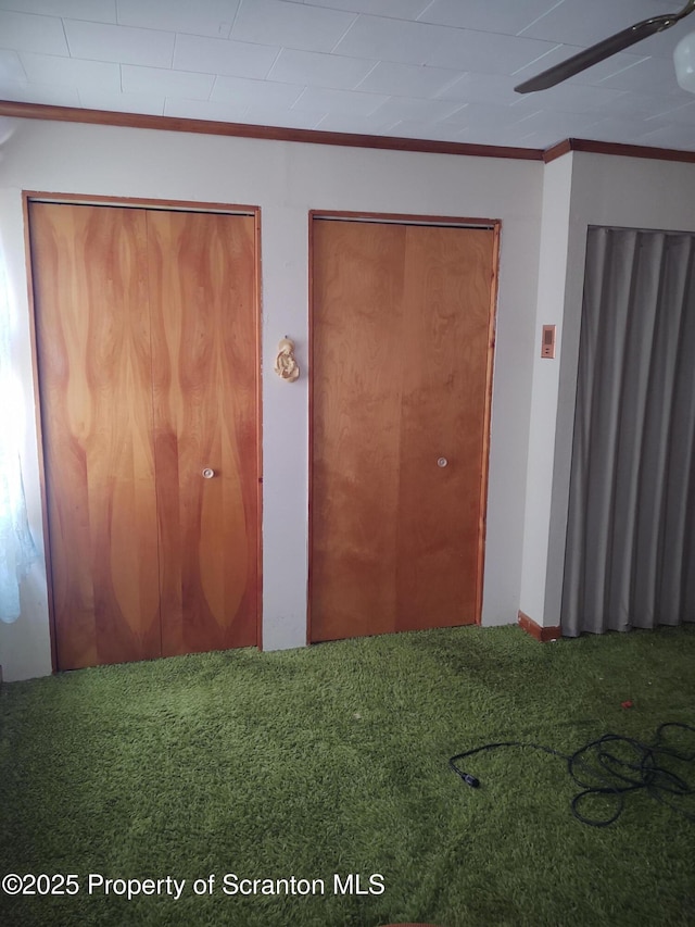 unfurnished bedroom with multiple closets, ornamental molding, and carpet flooring