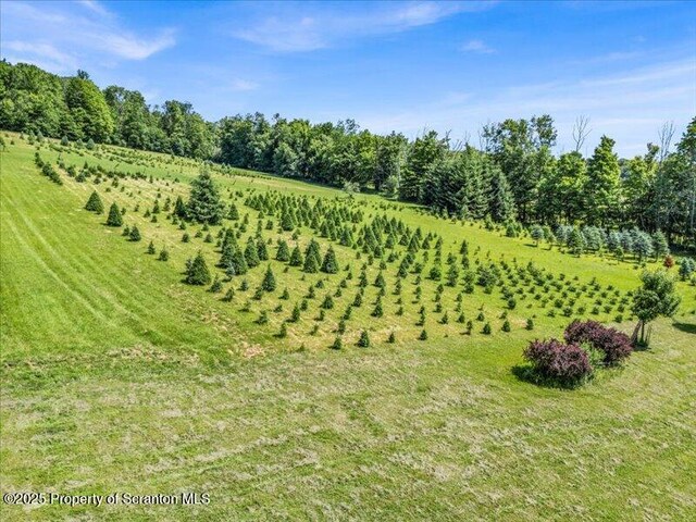 1715 Booth Rd, Hallstead, PA 18822 - view of yard