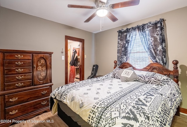 bedroom featuring wood-type flooring, a closet, a spacious closet, and ceiling fan