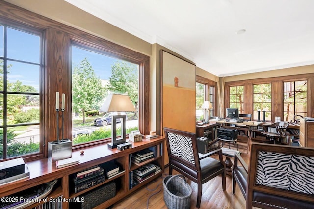 848 N Irving Ave, Scranton, PA 18510 - photo 20