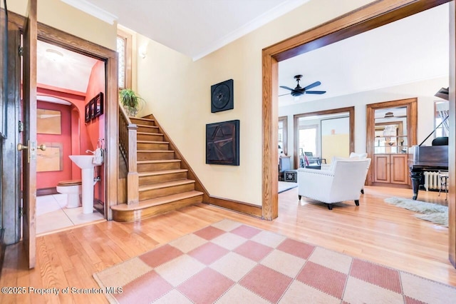 848 N Irving Ave, Scranton, PA 18510 - photo 9
