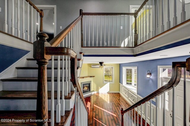 staircase with hardwood / wood-style floors and ceiling fan