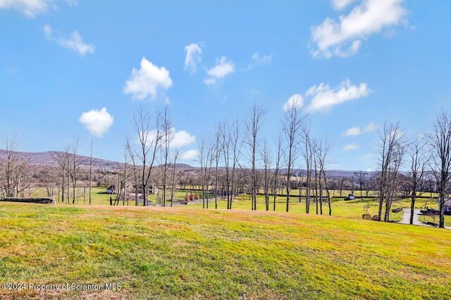 view of yard with a mountain view and a rural view