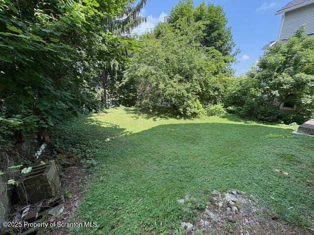 165 Elizabeth St, Pittston, PA 18640 - photo 44