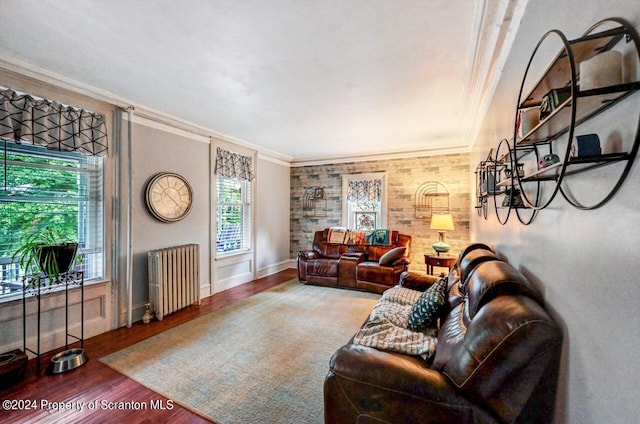 living room featuring hardwood / wood-style floors, a wealth of natural light, radiator, and ornamental molding