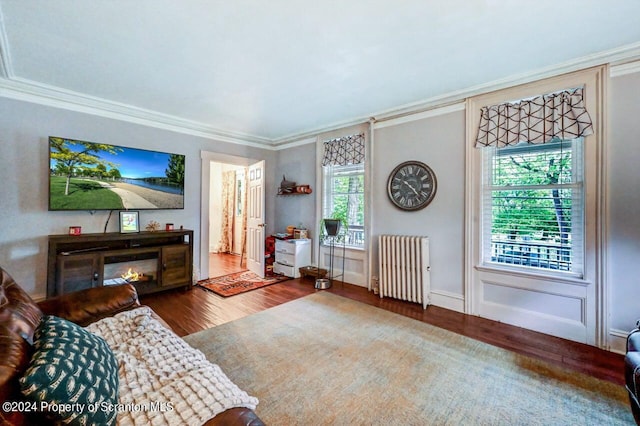 living room with radiator heating unit, plenty of natural light, ornamental molding, and wood-type flooring