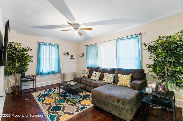 living room featuring radiator heating unit, dark hardwood / wood-style floors, and ceiling fan