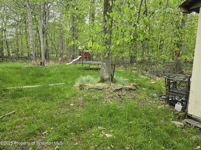 1563 Black Birch Way, Tobyhanna, PA 18466 - view of yard