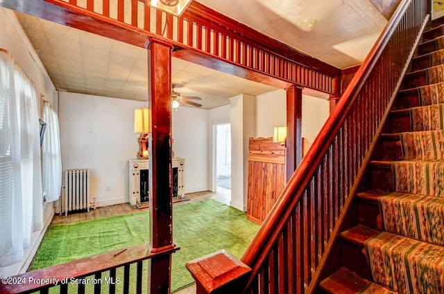 staircase with carpet flooring, radiator, and ceiling fan