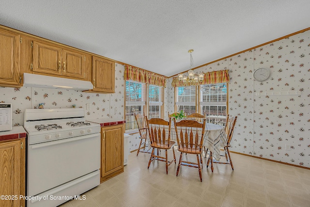 815 Svecz Rd, Union Dale, PA 18470 - kitchen with wallpapered walls, a chandelier, white appliances, under cabinet range hood, and light floors