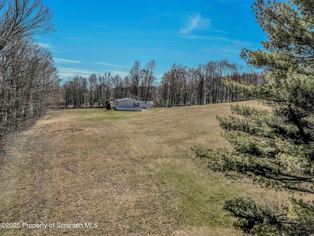 815 Svecz Rd, Union Dale, PA 18470 - view of yard with a forest view