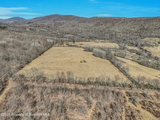 815 Svecz Rd, Union Dale, PA 18470 - mountain view with a rural view