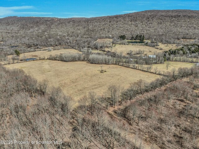 815 Svecz Rd, Union Dale, PA 18470 - drone / aerial view with a rural view