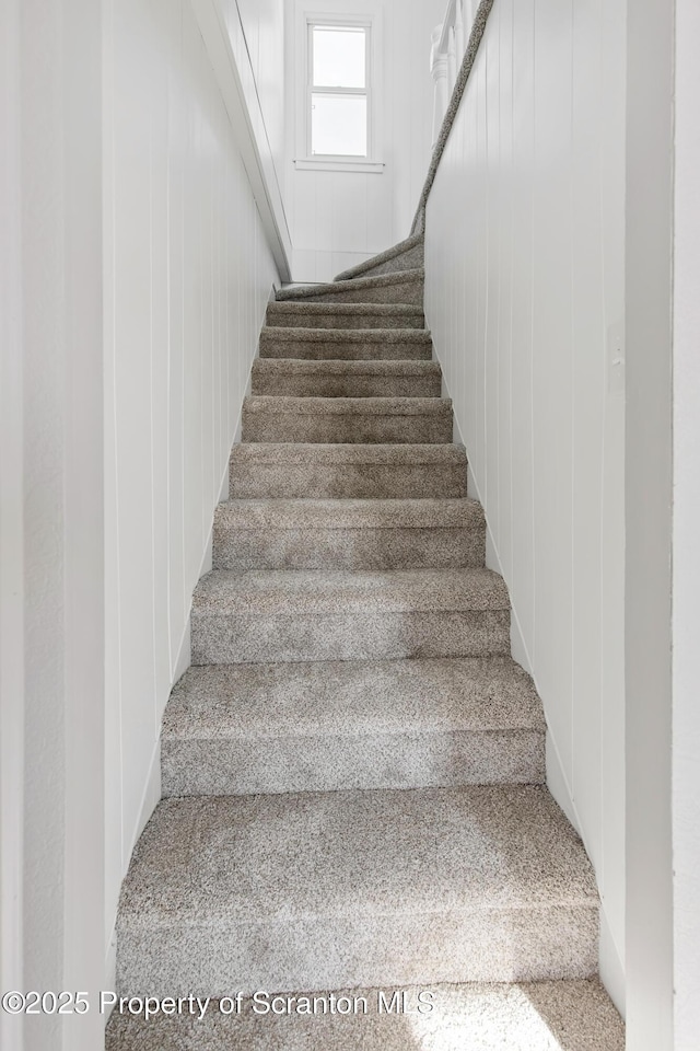 staircase featuring wooden walls and carpet floors