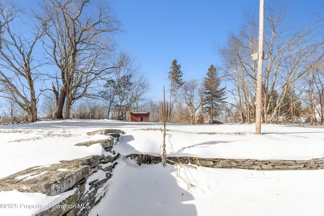 view of yard covered in snow