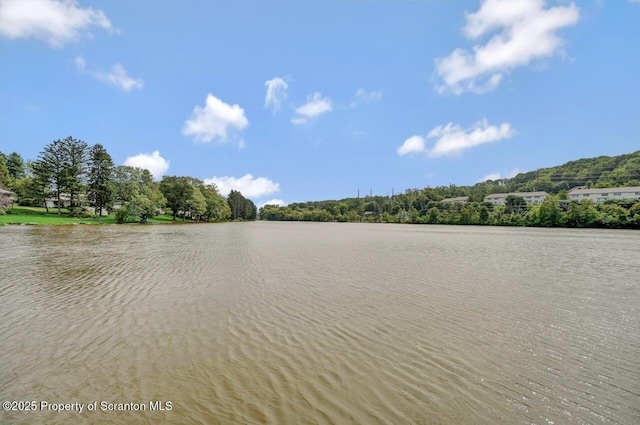 7 Lakeside Dr, Clarks Summit, PA 18411 - water view