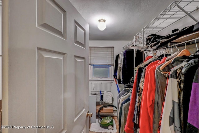 7 Lakeside Dr, Clarks Summit, PA 18411 - view of walk in closet