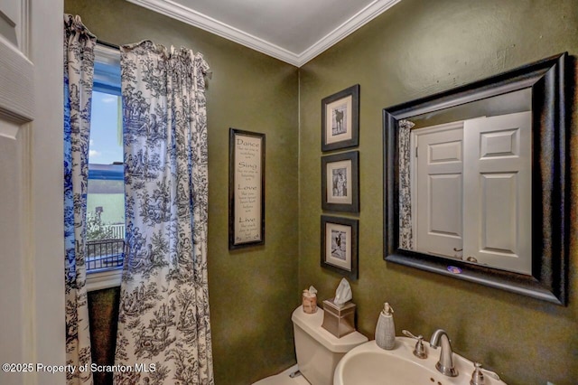 7 Lakeside Dr, Clarks Summit, PA 18411 - bathroom featuring a sink, crown molding, and toilet