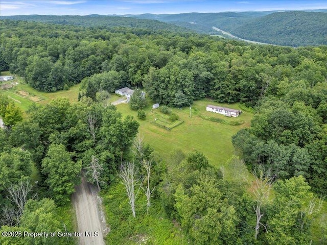 1262 Orphan School Rd, Kingsley, PA 18826 - photo 4