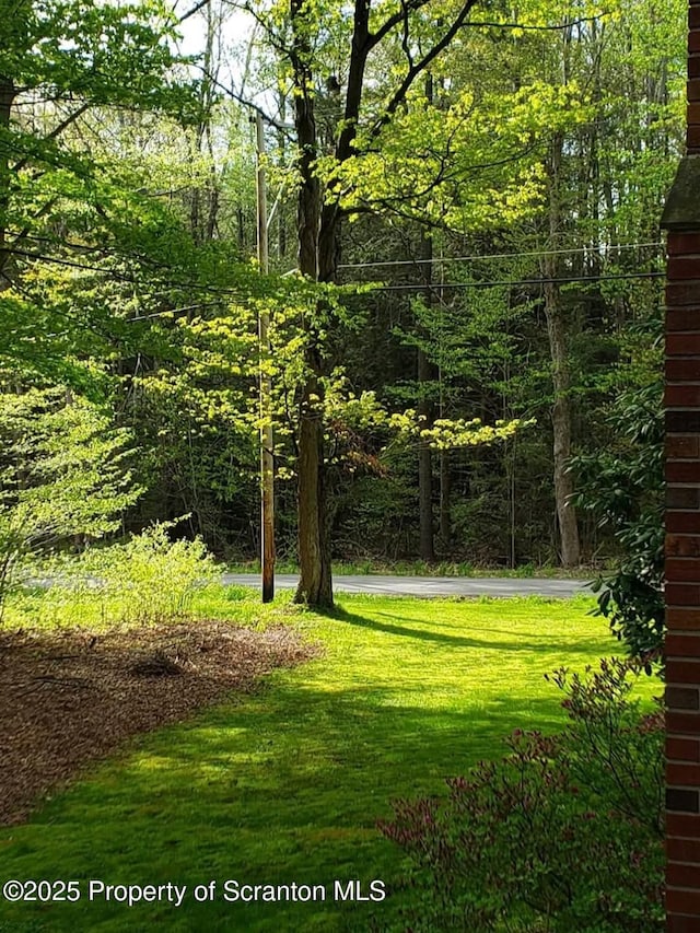 410 Lake Spangenberg Rd, Jefferson Twp, PA 18436 - view of green lawn with a view of trees