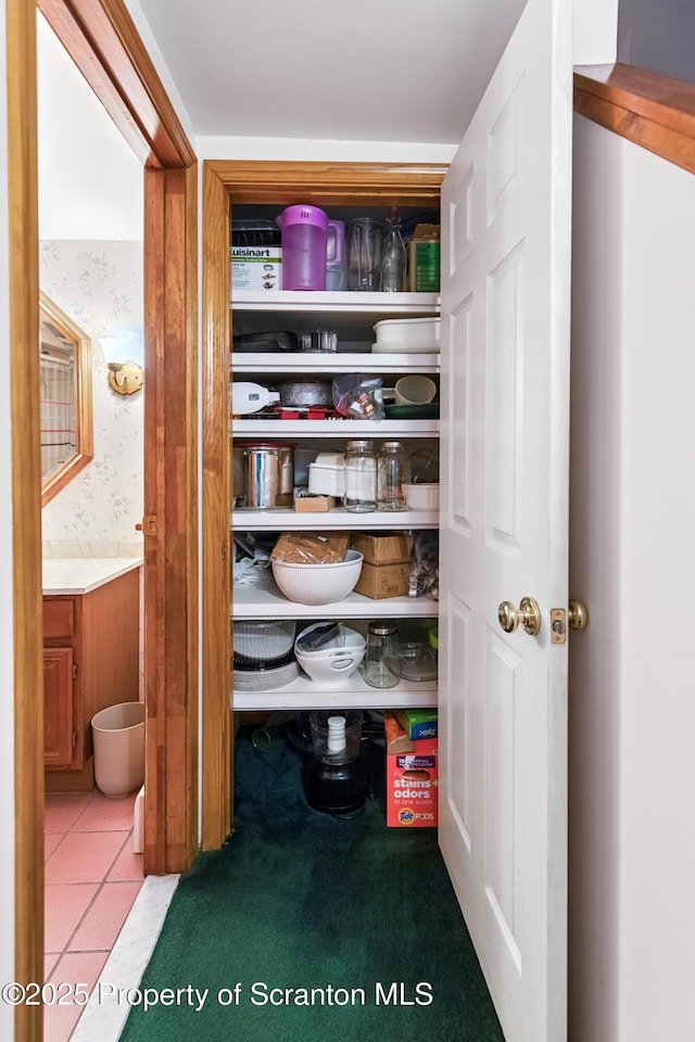 410 Lake Spangenberg Rd, Jefferson Twp, PA 18436 - view of storage area