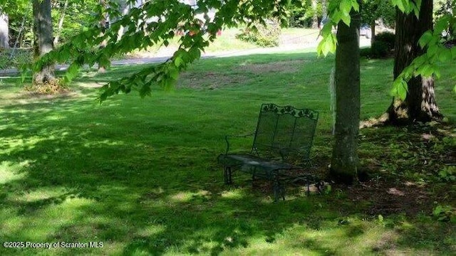 410 Lake Spangenberg Rd, Jefferson Twp, PA 18436 - view of community featuring a lawn