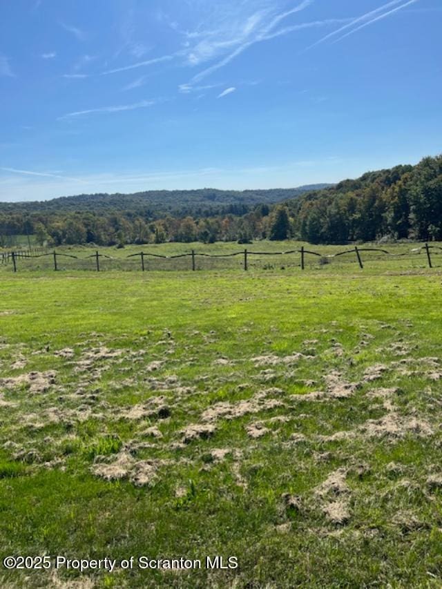 445 Bush Rd, Montrose, PA 18801 - view of yard with a rural view