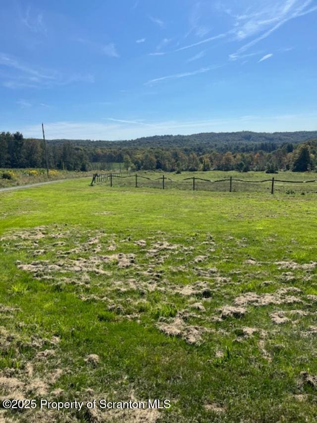 445 Bush Rd, Montrose, PA 18801 - view of yard with a view of rural / pastoral area