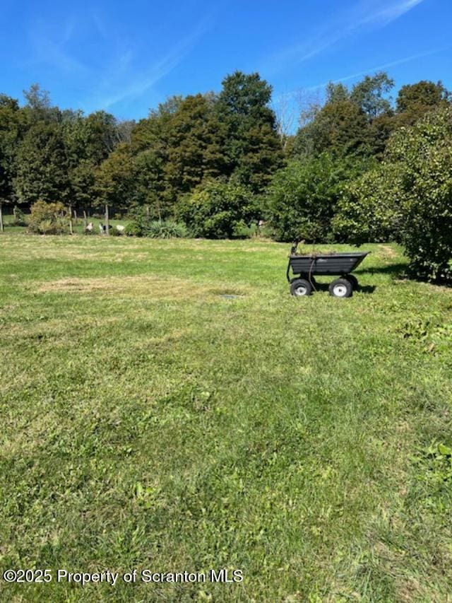 445 Bush Rd, Montrose, PA 18801 - view of grassy yard