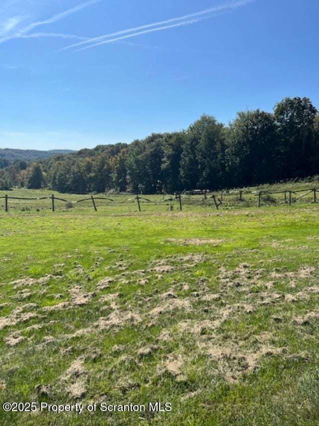 445 Bush Rd, Montrose, PA 18801 - view of yard with a rural view